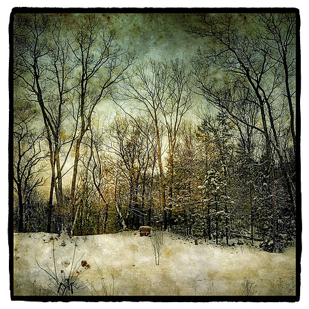 "Hay Bales at Edge of Woods, Catskills"