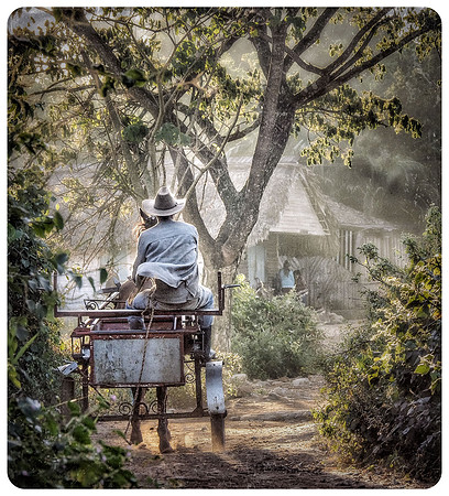 "Farmer on Horse Cart, Cuba"