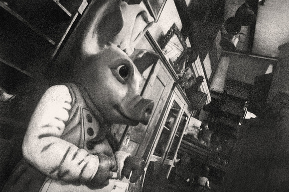"Pig and Wardrobes"