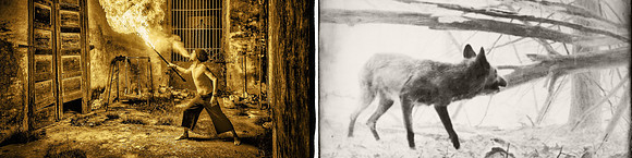 Banner copy