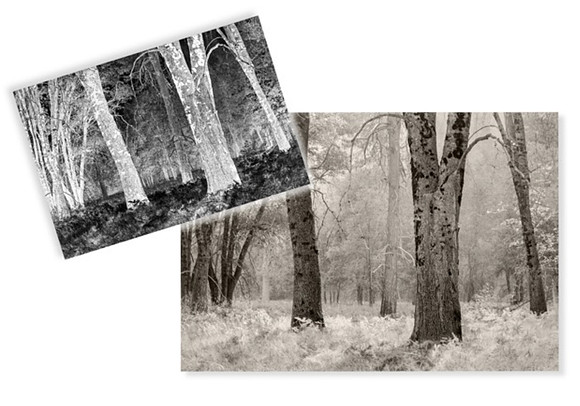 Placeholder Image 1 copy