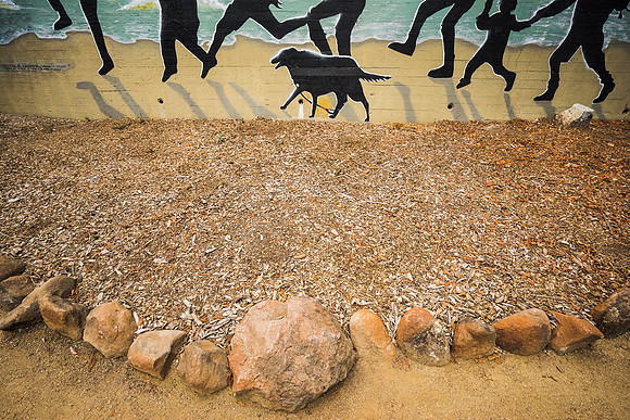 Prancing On The Sand