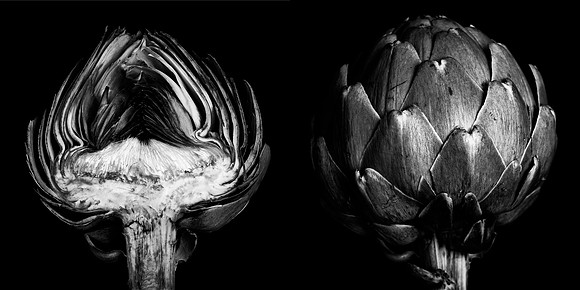 "Artichoke Diptych #1"