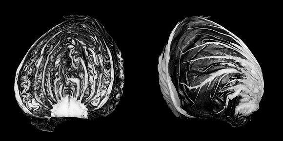 "Radicchio Diptych"