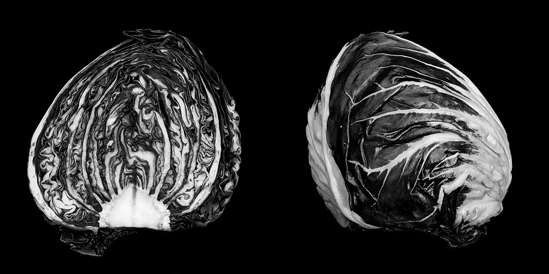 "Radicchio Diptych"