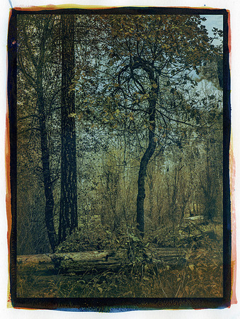 "Autumn Begins"