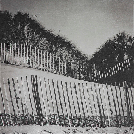 "Fence I - Strandhill"