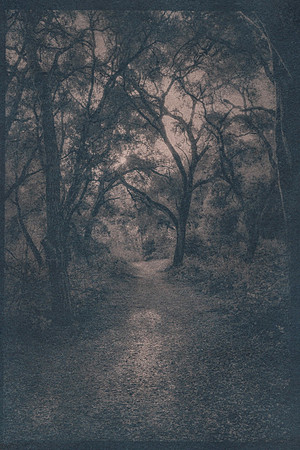 "River Trail"
