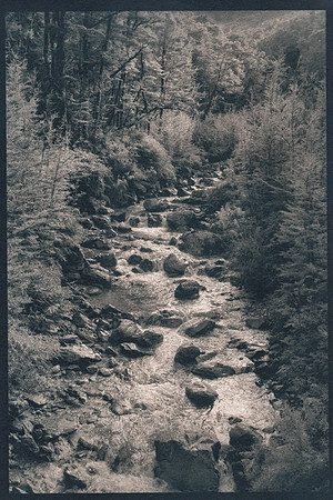 "Routeburn Track"