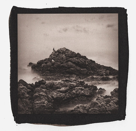 "More Rocks and Birds"