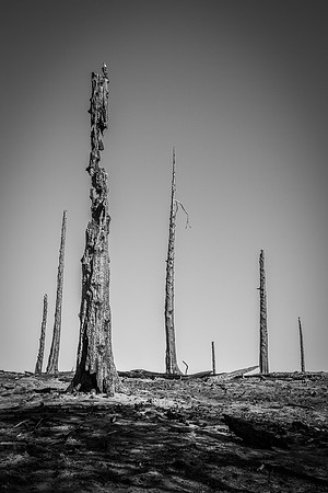 "Burn Scars 1"