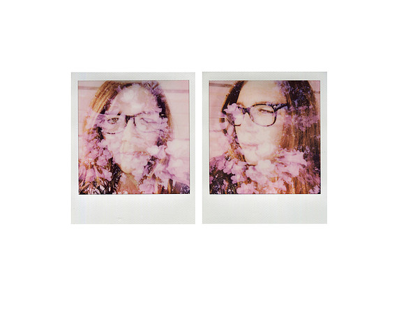 "Jacaranda Diptych"