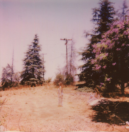"Ghosts in the Yard"