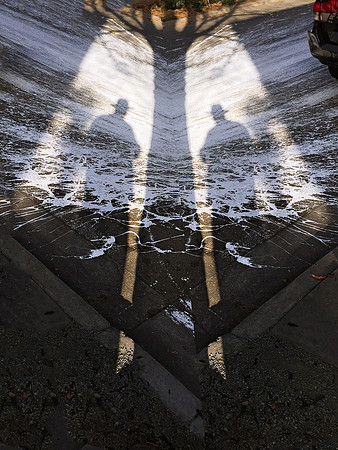 "Shadow Twins"