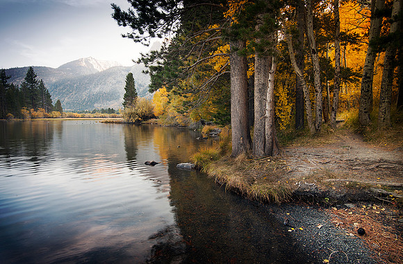 "Silver Lake"