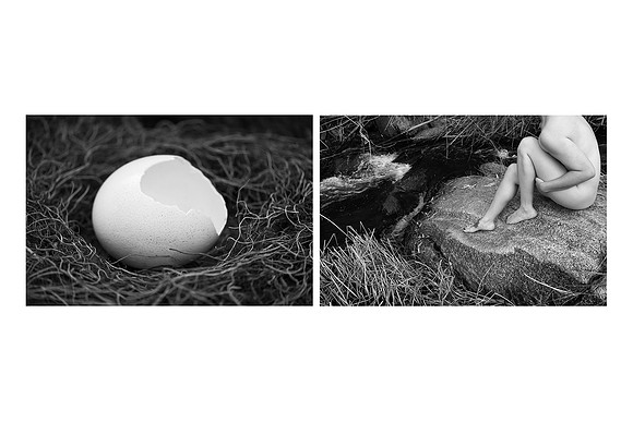"Fertility" Relationship Series