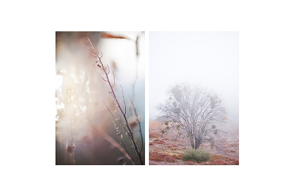 "Moment in Between" Relationship Series