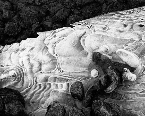 "Ice Creature #2"