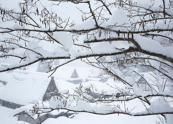 "Winter Village"