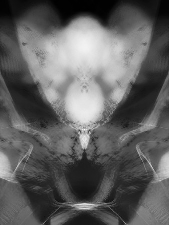 "Echoes"