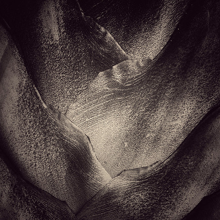 "Edges"