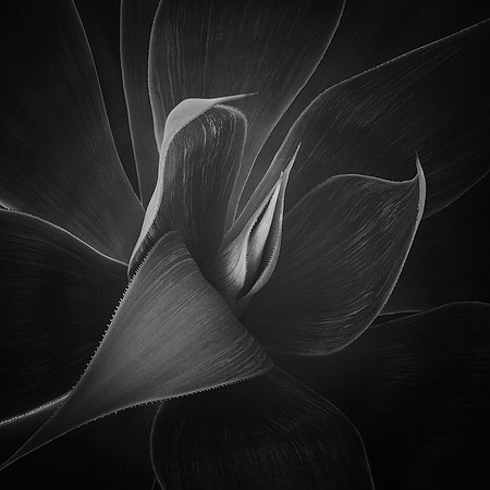 "Unfolding"