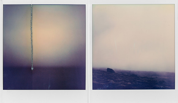 Diptych Image 4