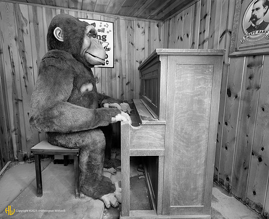 "Horowitz: The Early Years, 1995"