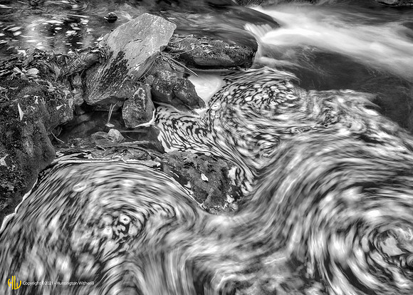 "Cascade and Swirling Foam, Ricketts Glen, PA, 2013"