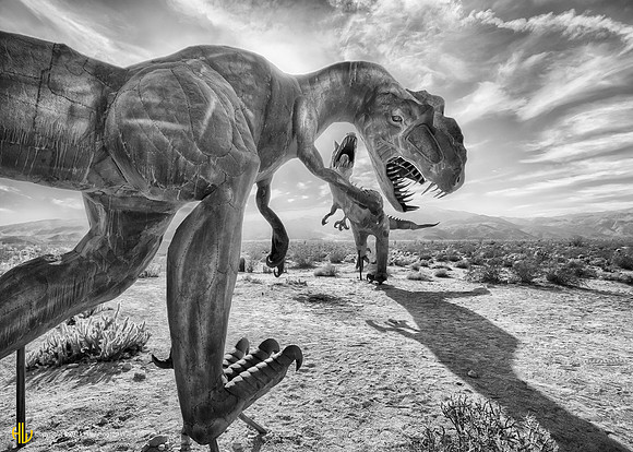 "Carnataurus, Borrego Springs, CA, 2016"