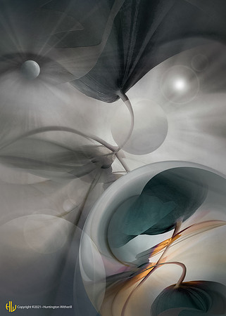 "Tulips #55, 2006"