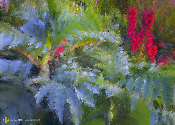 "Delphinium and Ferns, 2007"