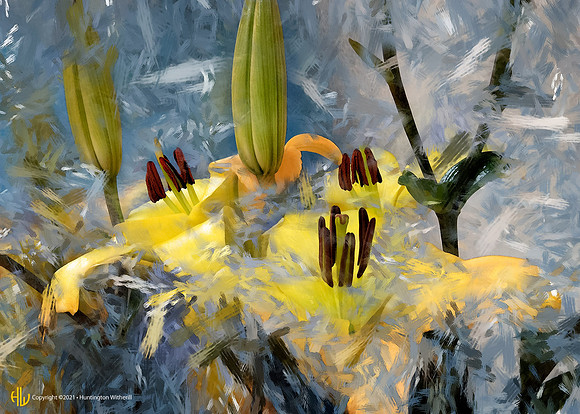 "Lilies #87, 2007"