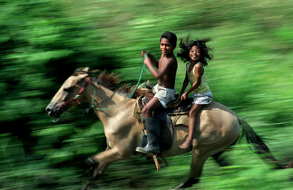 Chiapas Racers