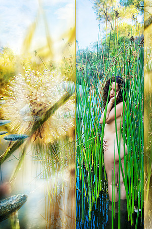 "Fragile Beauty" Giver Series