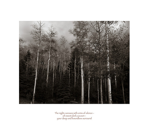 "Boundless Surround"