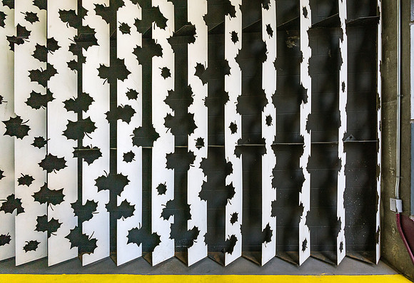 "Leaf Silhouette"