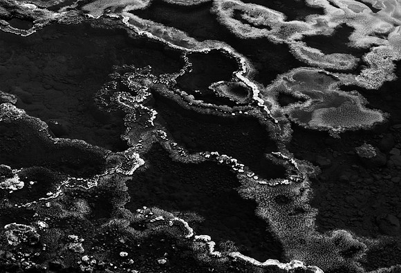 "Big Steamy Pool"