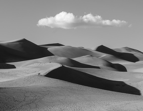 "Dunes Walk"