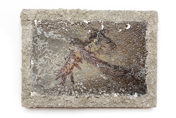 "Fly Away" by  Annie Claflin