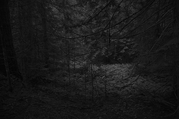 The Forest: "Silence"