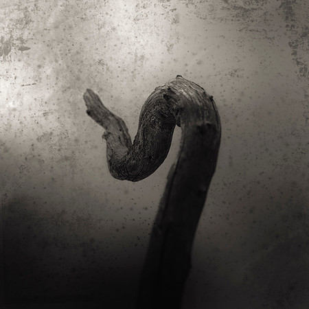 "Koan Twig #13"