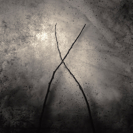 "Koan Twig #25"