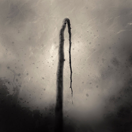 "Koan Twig #21"