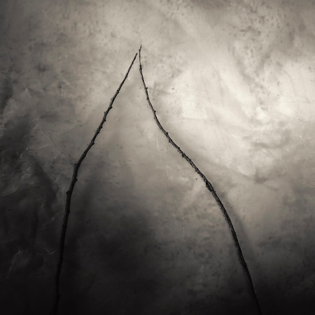 "Koan Twig #20"
