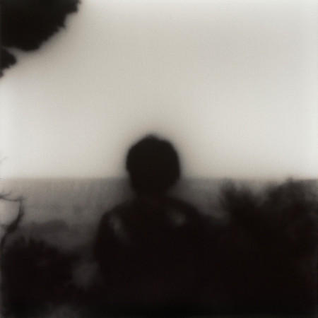 A Dream Half Remembered Series (2)