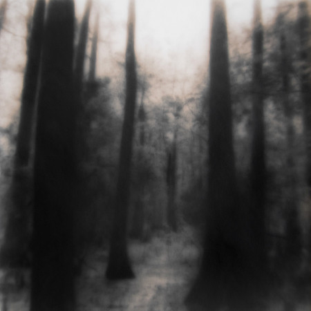 A Dream Half Remembered Series (3)