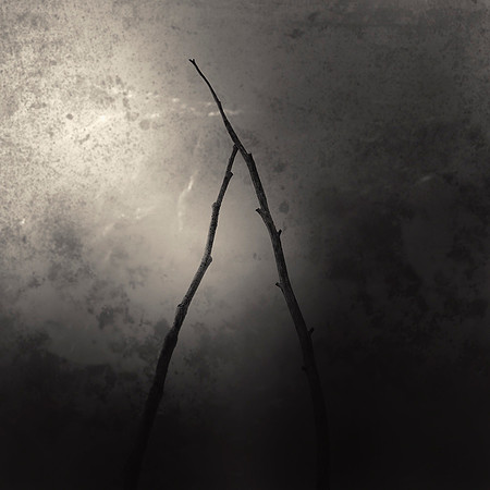 "Koan Twig #26"