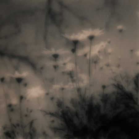 Not Dark Yet Series (1)