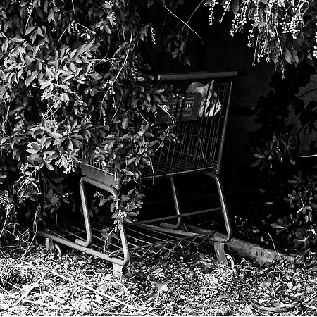 Discarded #3